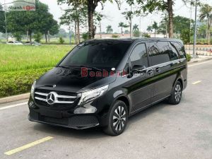 Xe Mercedes Benz V250 Luxury 2022