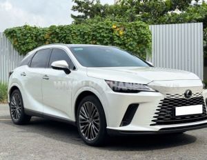 Xe Lexus RX 350 Luxury 2024