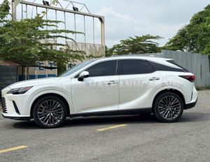 Xe Lexus RX 350 Luxury 2024